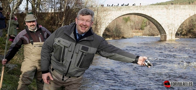 Ross Brawn, no back to F1