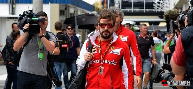 Fernando Alonso, Ferrari, GP Brasil 2014