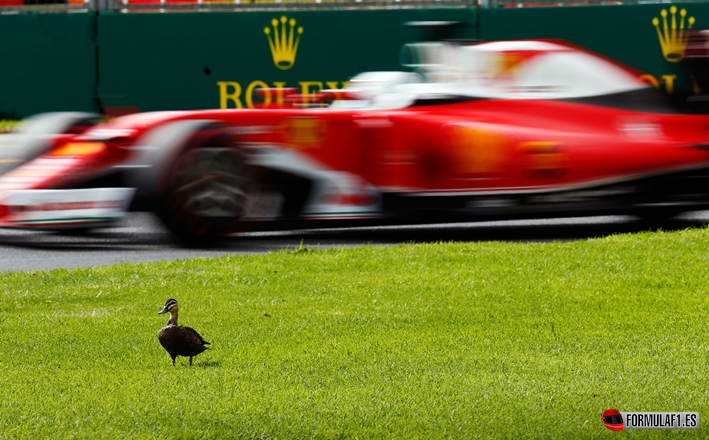 Vettel. Calificación GP de Australia 2016